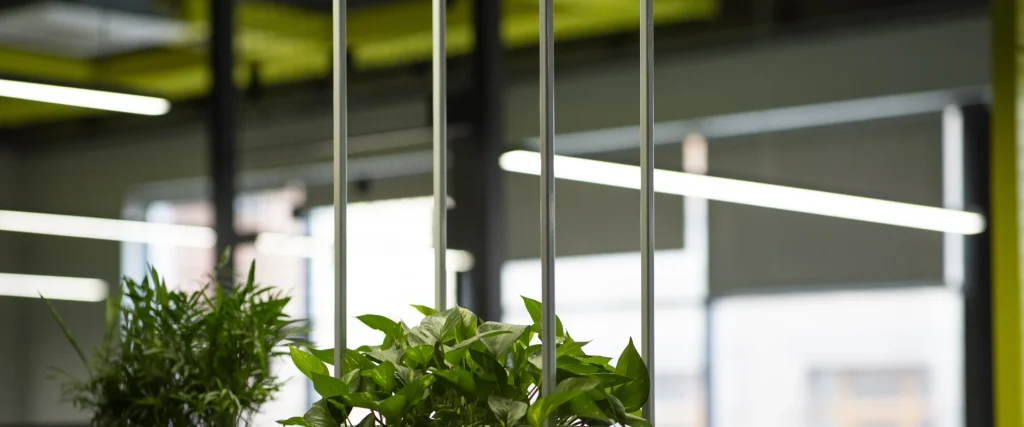 Header Image - What are the Environmental Benefits of Optimising the Document Lifecycle?