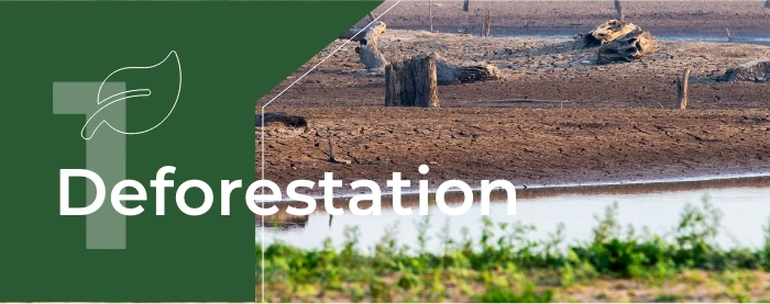 Environmental Impact of Printing (1)