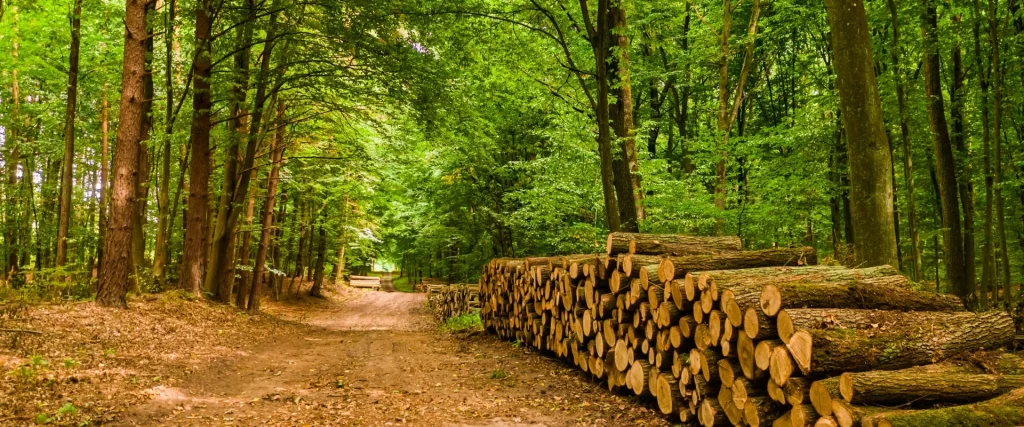 Header Image - 4 Ways Commercial Printers Can Reduce their Environmental Impact (and Save the Planet)