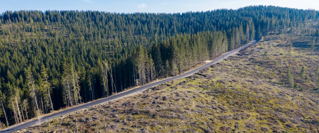 Header Image - How Manufacturers can help the environment by using Managed Print Services (MPS)